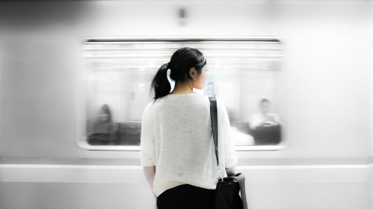 The Passing Traveler Who Meets The Station
